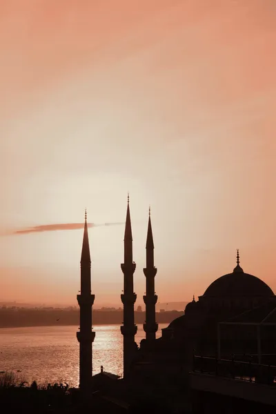 Pohled na sultanahmet mešita v noci Royalty Free Stock Obrázky