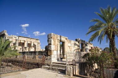 capernaum sinagog