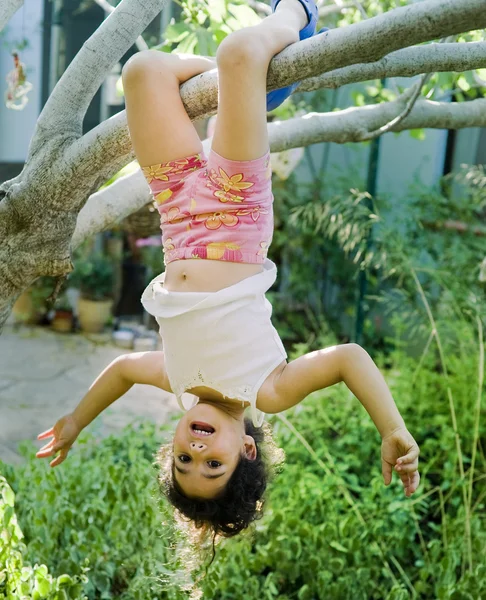 Молодая девушка на дереве — стоковое фото