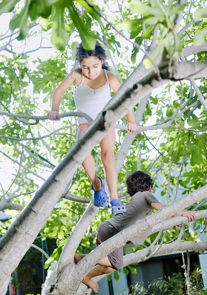 Mädchen und Junge auf Baum — Stockfoto