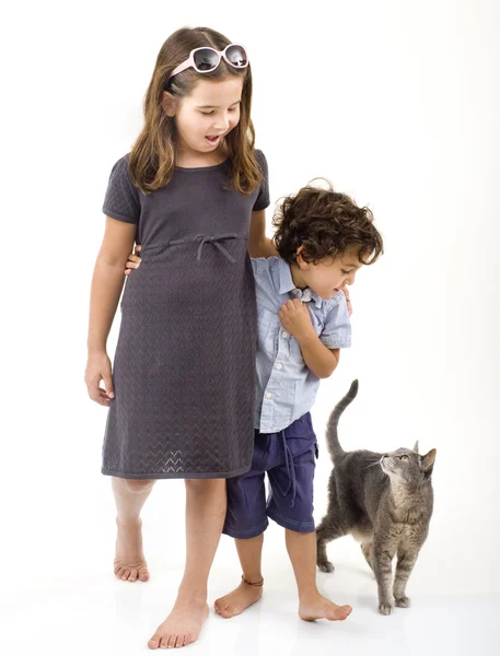 Zwei Kinder und eine Katze — Stockfoto