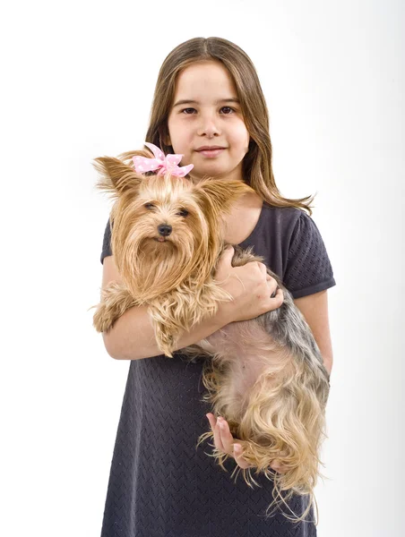 Junges Mädchen mit einem Yorkshire Terrier — Stockfoto