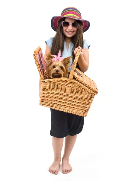 Chica y perro en la cesta de picnic —  Fotos de Stock
