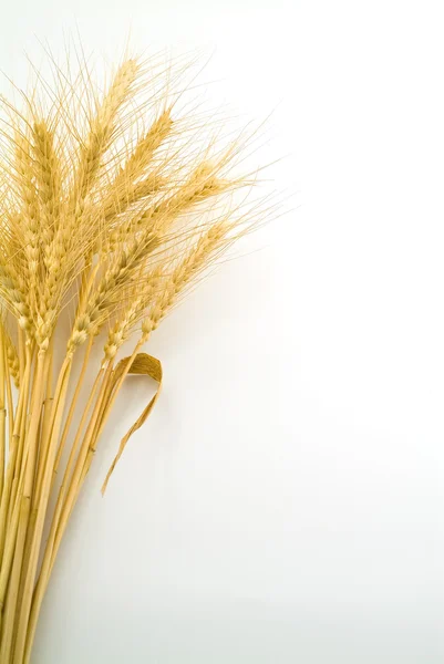 Paquete de trigo —  Fotos de Stock