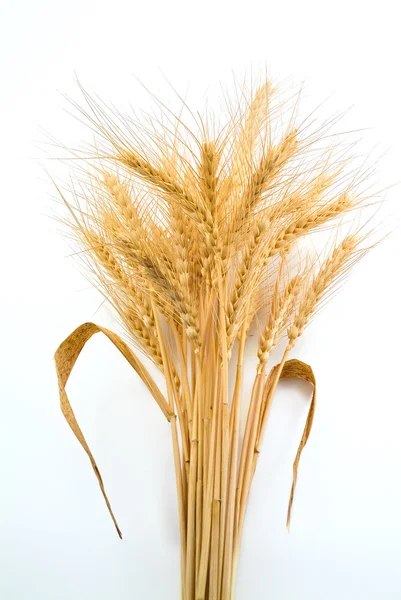 Pacote de trigo — Fotografia de Stock