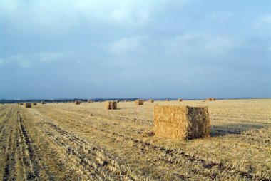 Hay bales field clipart