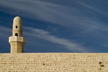 Ancient mosque clipart