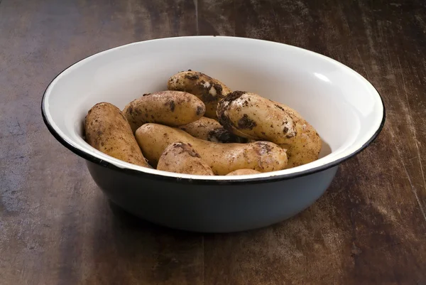 Bahçeden taze patates. — Stok fotoğraf
