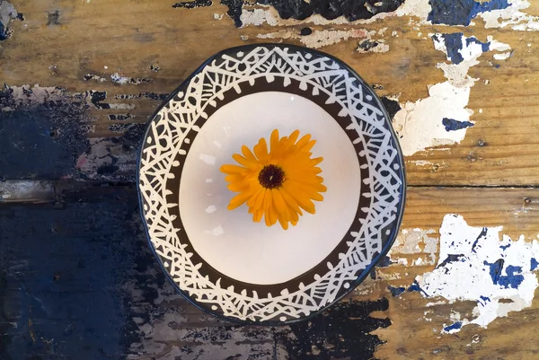 Цветок Мэриголд в миске — стоковое фото