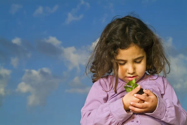 Mała dziewczynka gospodarstwa roślin — Zdjęcie stockowe