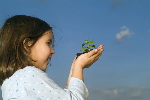 Kind handen met plant — Stockfoto