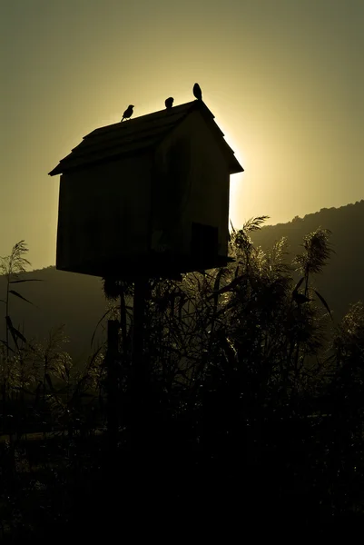 Maison d'oiseaux au crépuscule — Photo