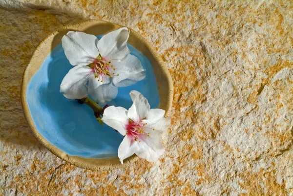 Миндальные цветы на каменном фоне — стоковое фото