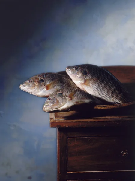 Stile rinascimentale pesce — Foto Stock