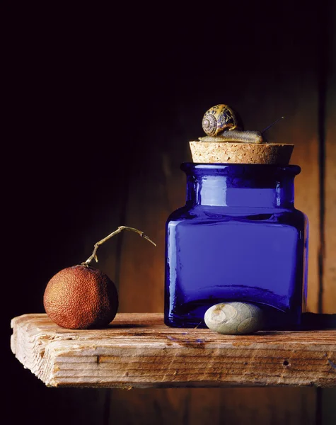 Blue jar and snail — Stock Photo, Image