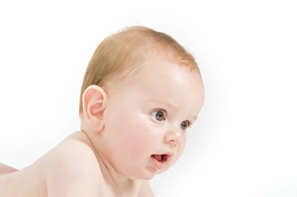 Portrait of a six months old baby — Stock Photo, Image