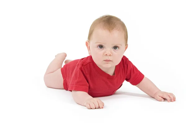 Portrait of a six months old baby red — Stock Photo, Image