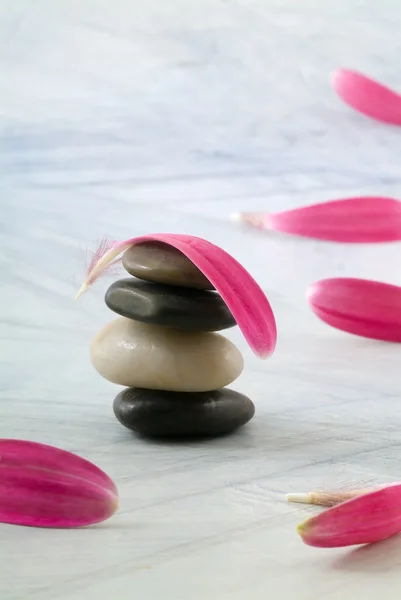 Evenwicht tussen stenen en roze bloemblaadjes — Stockfoto