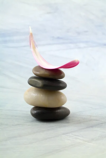 Piedras equilibrantes y pétalo rosa —  Fotos de Stock