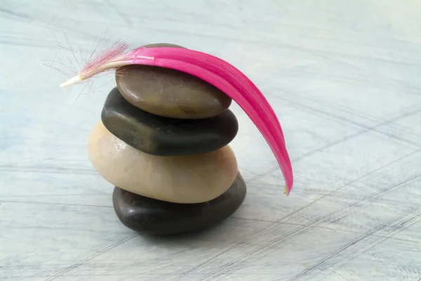 Piedras equilibrantes y pétalo rosa — Foto de Stock