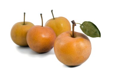 Group of Nashi pear clipart