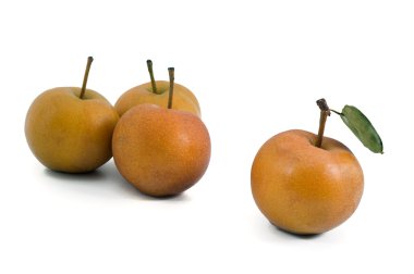 Group of Nashi pears clipart