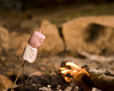 Marshmallow at campfire clipart