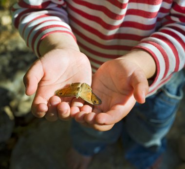 Butterfly in child hands clipart