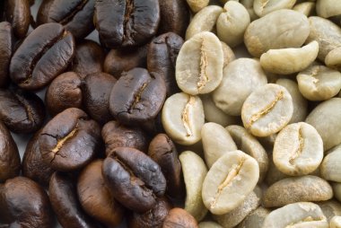 Black and green coffee beans clipart