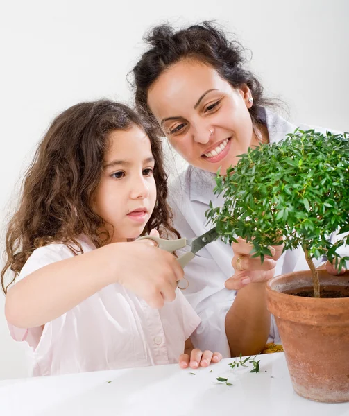 Učitel dítě rostlina — Stock fotografie