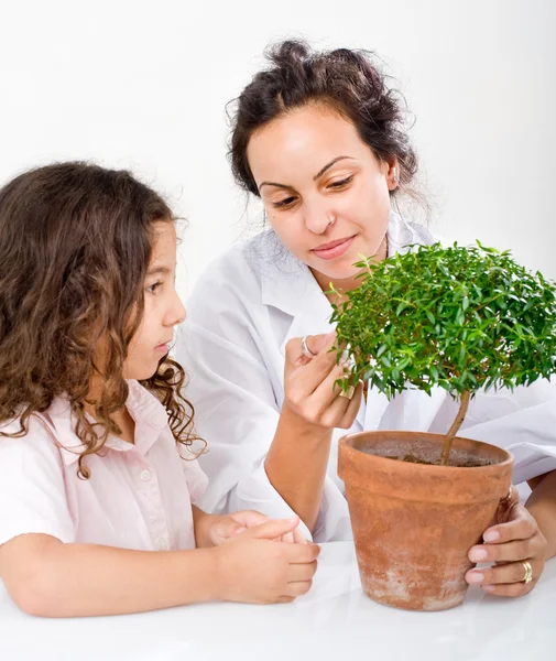 Enseignant plante enfant — Photo