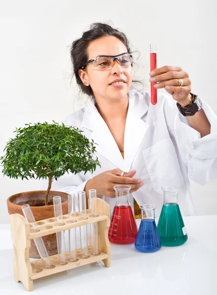 Scientist flask — Stock Photo, Image