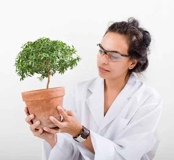 Scientist lab plant — Stock Photo, Image