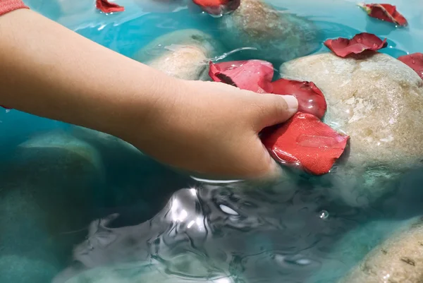 Barn hand vatten och kronblad — Stockfoto