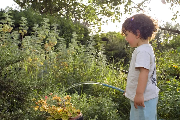 Kind gießt Garten — Stockfoto