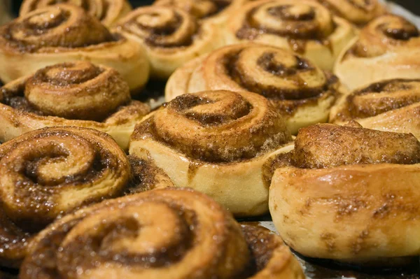 stock image Cinnamon buns