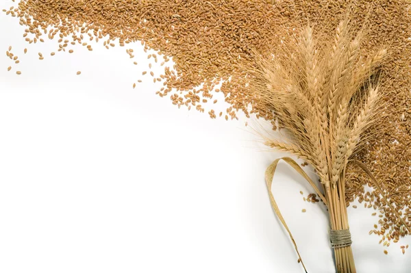捆绑的小麦和谷物的帧 — 图库照片