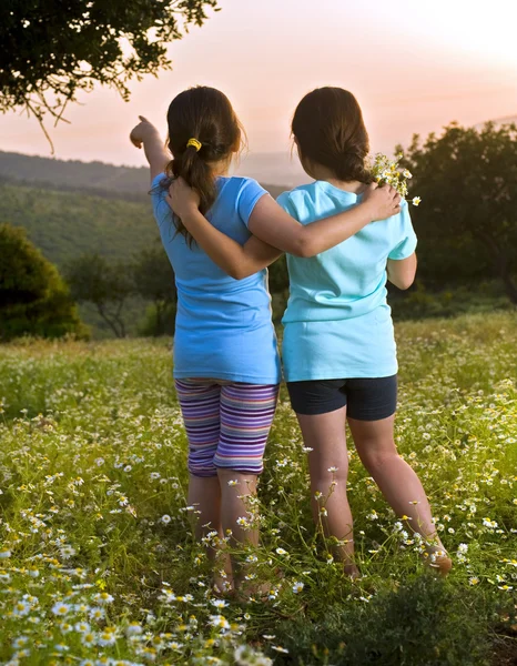 Дві дівчини квіти поле на заході сонця — стокове фото