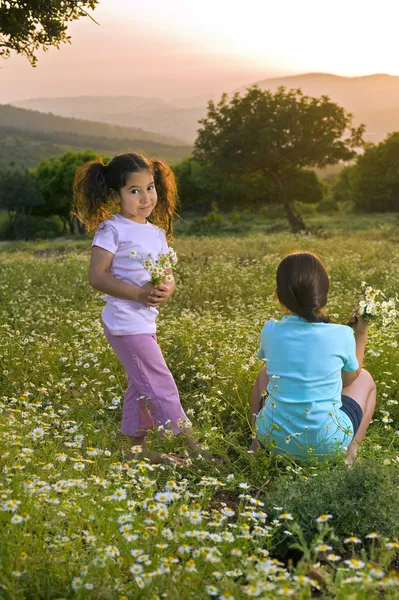 Två flickor blommor fält vid solnedgången — Φωτογραφία Αρχείου