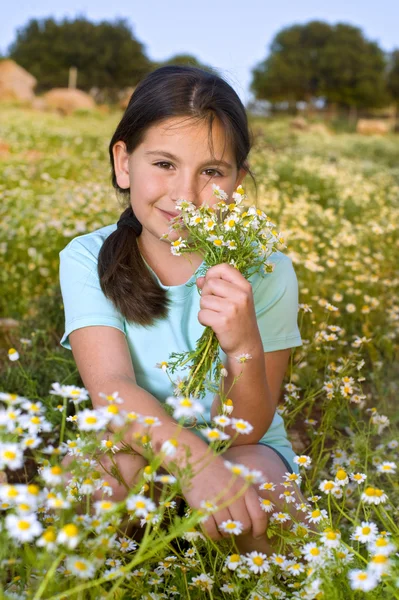 Κοπέλα που κρατά τα λουλούδια στον τομέα στο ηλιοβασίλεμα — Φωτογραφία Αρχείου