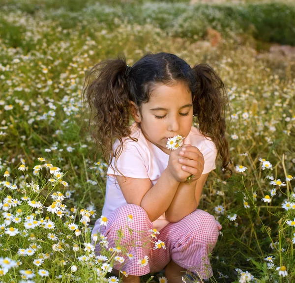 Menina segurando flores no campo ao pôr do sol — Fotografia de Stock