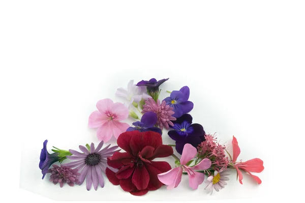 Elemento de diseño de fondo floral —  Fotos de Stock