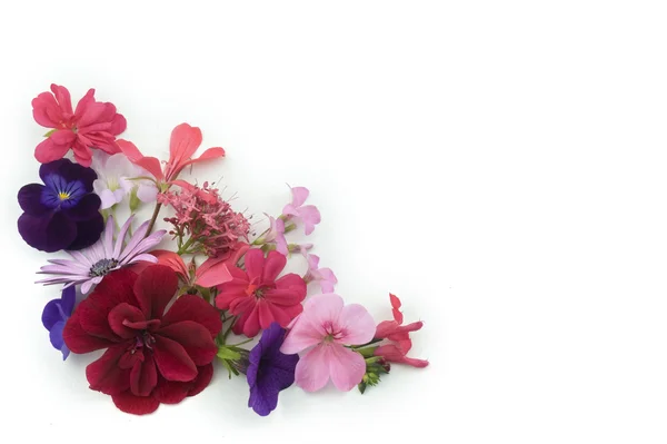 花の背景角要素 — ストック写真