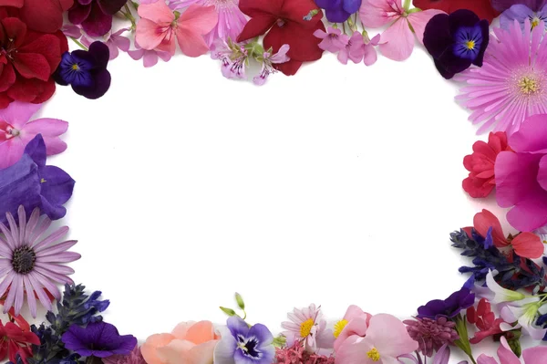 Marco de fondo floral — Foto de Stock