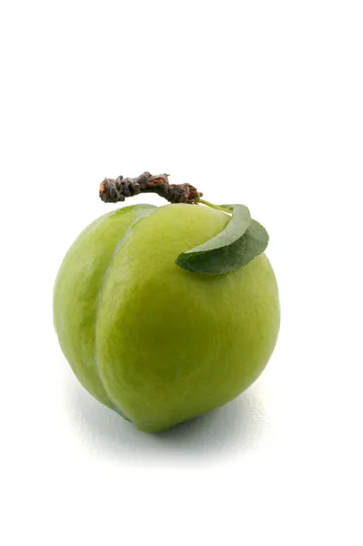 绿色 prun — 图库照片