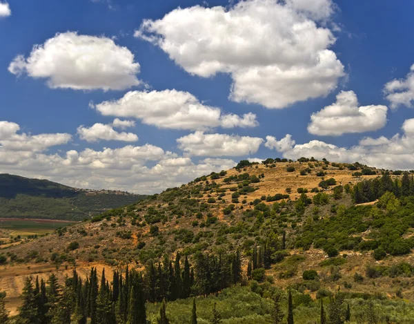 Galilee landscape — Stock Photo, Image