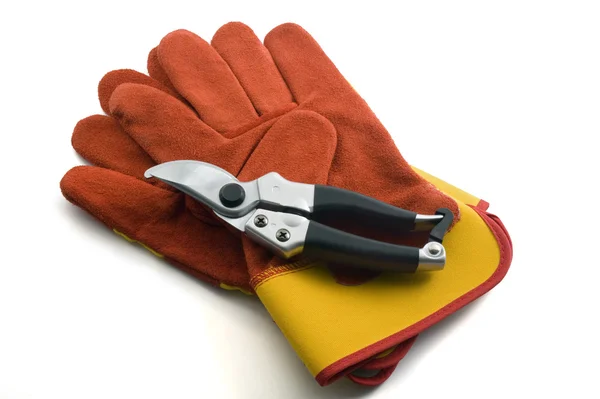 Pruning shears and garden gloves — Stock Photo, Image