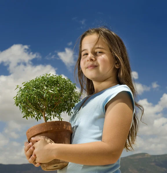 Menina segurando pequena árvore — Fotografia de Stock