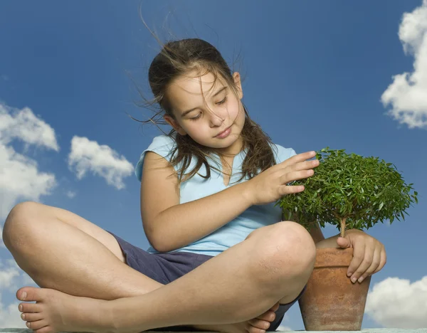 Девочка держит маленькое дерево — стоковое фото