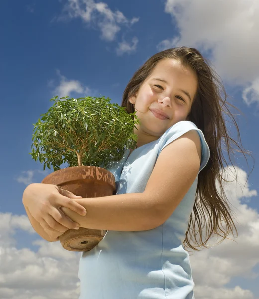 Dziewczynka gospodarstwa małe drzewo — Zdjęcie stockowe